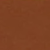 standard leather 304 cinnamon.jpg